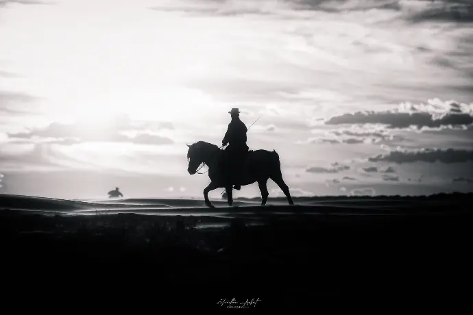Silhouette d'un cavalier camarguais au coucher du soleil, photographie artistique en noir et blanc par Jonathan Aubert pour La Fadaise.