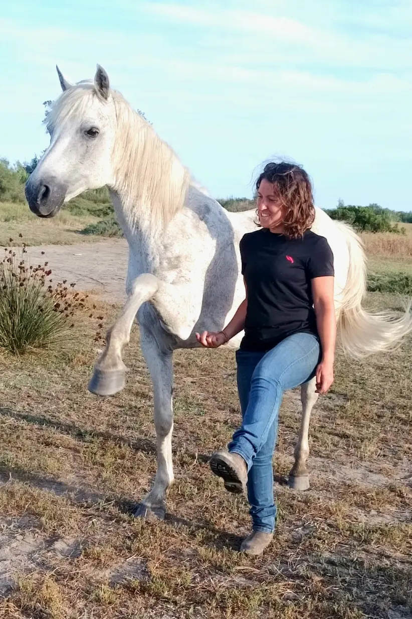 Interaction entre une femme et un cheval camarguais levant l'une de ses jambes, capturée en Camargue avec La Fadaise.